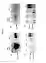 Fig. 06 - 5T4 antigen expression