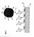 Fig. 02 - Noncovalent sidewall functionalization of carbon nanotubes