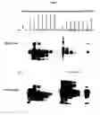 Fig. 02 - Detection of prion disease
