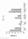 Fig. 12 - KDR and VEGF/KDR binding peptides and their use in diagnosis and therapy