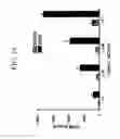 Fig. 16 - KDR and VEGF/KDR binding peptides and their use in diagnosis and therapy