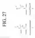 Fig. 32 - KDR and VEGF/KDR binding peptides and their use in diagnosis and therapy