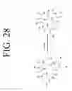 Fig. 33 - KDR and VEGF/KDR binding peptides and their use in diagnosis and therapy