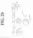 Fig. 34 - KDR and VEGF/KDR binding peptides and their use in diagnosis and therapy