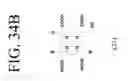Fig. 40 - KDR and VEGF/KDR binding peptides and their use in diagnosis and therapy
