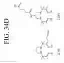Fig. 42 - KDR and VEGF/KDR binding peptides and their use in diagnosis and therapy