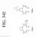 Fig. 43 - KDR and VEGF/KDR binding peptides and their use in diagnosis and therapy