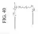Fig. 50 - KDR and VEGF/KDR binding peptides and their use in diagnosis and therapy