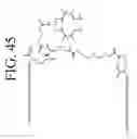 Fig. 55 - KDR and VEGF/KDR binding peptides and their use in diagnosis and therapy