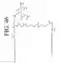 Fig. 56 - KDR and VEGF/KDR binding peptides and their use in diagnosis and therapy