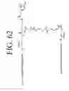 Fig. 72 - KDR and VEGF/KDR binding peptides and their use in diagnosis and therapy