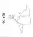 Fig. 78 - KDR and VEGF/KDR binding peptides and their use in diagnosis and therapy