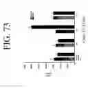 Fig. 84 - KDR and VEGF/KDR binding peptides and their use in diagnosis and therapy