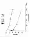 Fig. 86 - KDR and VEGF/KDR binding peptides and their use in diagnosis and therapy