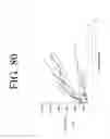 Fig. 97 - KDR and VEGF/KDR binding peptides and their use in diagnosis and therapy