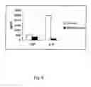 Fig. 06 - In vitro model for gastrointestinal inflammation