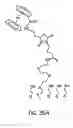 Fig. 37 - Methods of detecting immobilized biomolecules
