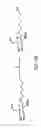 Fig. 41 - Methods of detecting immobilized biomolecules