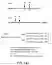 Fig. 103 - Factor IX: remolding and glycoconjugation of Factor IX