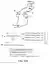 Fig. 119 - Factor IX: remolding and glycoconjugation of Factor IX