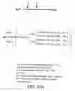 Fig. 136 - Factor IX: remolding and glycoconjugation of Factor IX