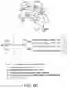 Fig. 170 - Factor IX: remolding and glycoconjugation of Factor IX