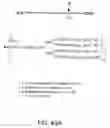 Fig. 185 - Factor IX: remolding and glycoconjugation of Factor IX