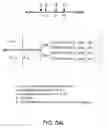 Fig. 257 - Factor IX: remolding and glycoconjugation of Factor IX