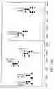 Fig. 440 - Factor IX: remolding and glycoconjugation of Factor IX