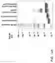 Fig. 448 - Factor IX: remolding and glycoconjugation of Factor IX
