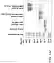 Fig. 449 - Factor IX: remolding and glycoconjugation of Factor IX