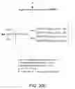 Fig. 68 - Factor IX: remolding and glycoconjugation of Factor IX
