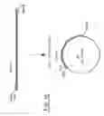 Fig. 03 - Cytoplasmic expression of antibodies, antibody fragments and antibody fragment fusion proteins in 
