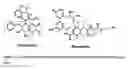 Fig. 04 - Hydroxy-amino acids