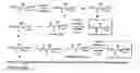 Fig. 08 - Hydroxy-amino acids