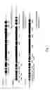 Fig. 02 - PUFA polyketide synthase systems and uses thereof