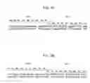 Fig. 04 - PUFA polyketide synthase systems and uses thereof