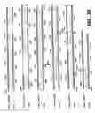 Fig. 07 - Proteases from gram-position organisms