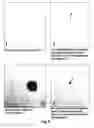 Fig. 08 - Process for production of low temperature active alkaline protease from a deep-sea fungus
