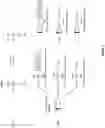 Fig. 03 - Preparation and surface modification of plastic microfluidic chip