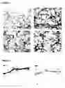 Fig. 10 - Oligodendrocytes derived from human embryonic stem cells for remyelination and treatment of spinal cord injury