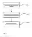 Fig. 02 - Methods and products for delivering biological molecules to cells using multicomponent nanostructures