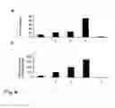 Fig. 07 - Methods and products for delivering biological molecules to cells using multicomponent nanostructures
