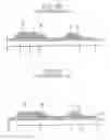 Fig. 10 - Liquid crystal display and fabricating method thereof