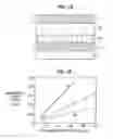 Fig. 09 - Semiconductor device and process of producing the same