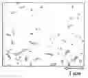 Fig. 01 - Method for producing multicrystalline silicon substrate for solar cells