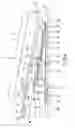 Fig. 05 - Supporting device having cable holding portion