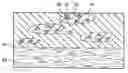 Fig. 01 - Microporous breathable elastic film laminates, methods of making same, and limited use or disposable product applications