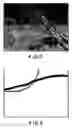 Fig. 04 - Anti-microbial fabrics, garments and articles