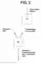 Fig. 03 - Composite elastic web